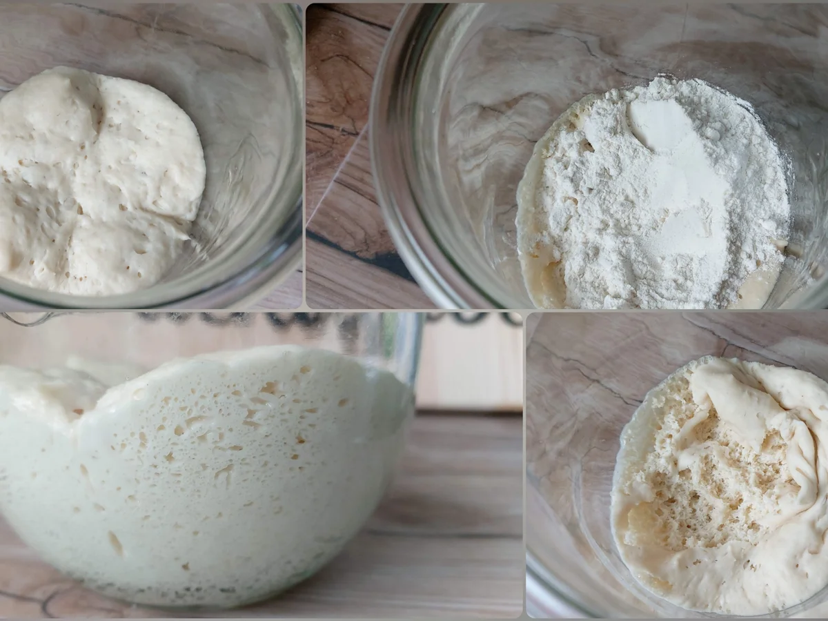 Rezept: Luigi - Mein Untermieter Bild Nr. 14361 Luigi - Mein Untermieter - Rezept - Bild Nr. 14361