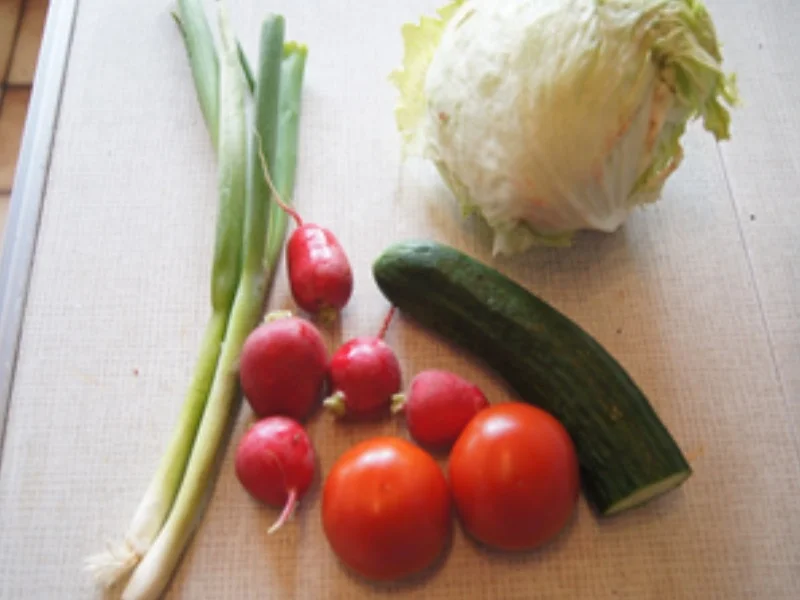 Rezept: "Kotelett mit Tschechischen Kartoffelsalat light und gemischten Salat"; Bild Nr. 14368 "Kotelett mit Tschechischen Kartoffelsalat light und gemischten Salat"; - Rezept - Bild Nr. 14368