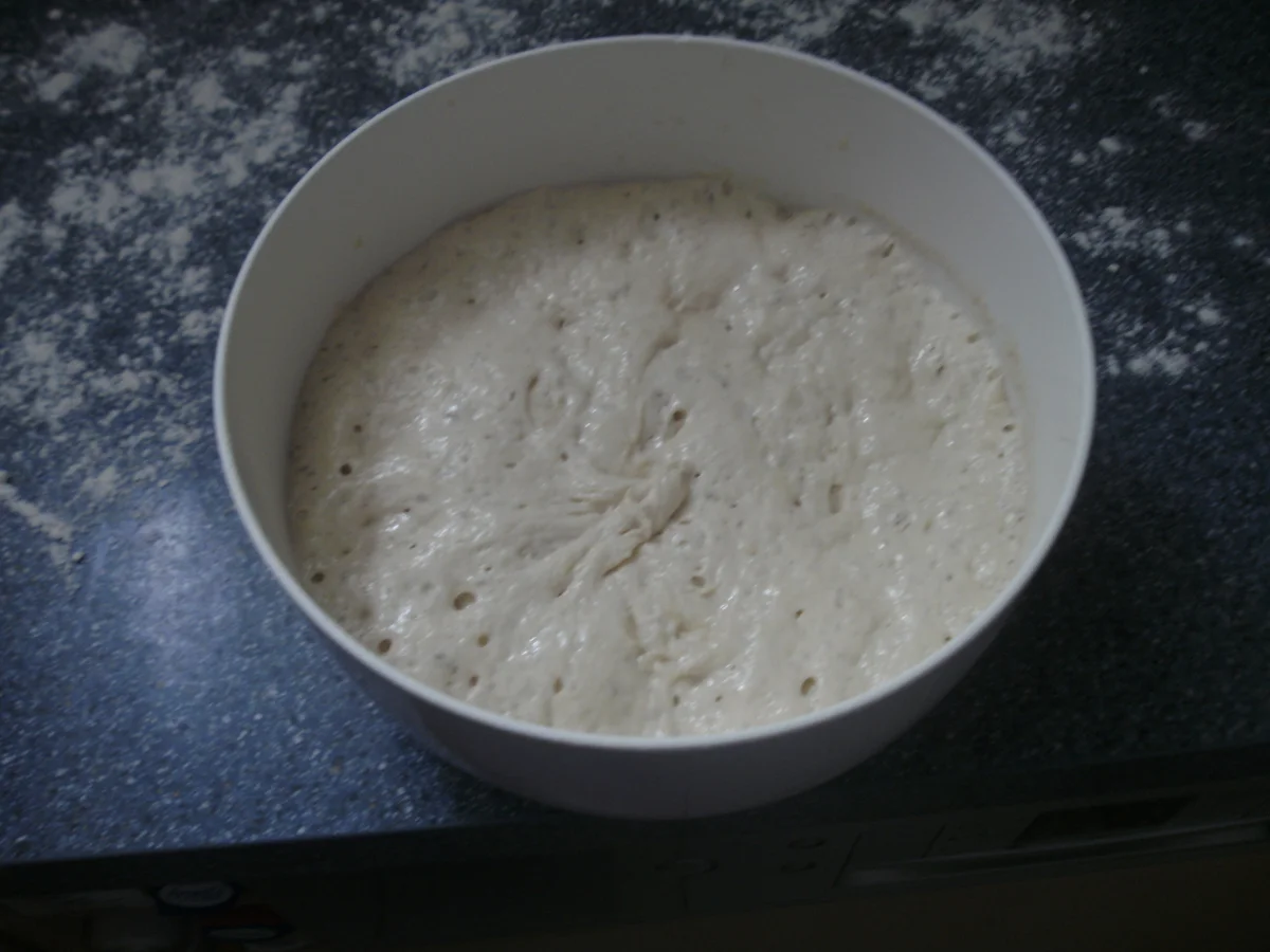 Wurzelbrot - Rezept - Bild Nr. 4