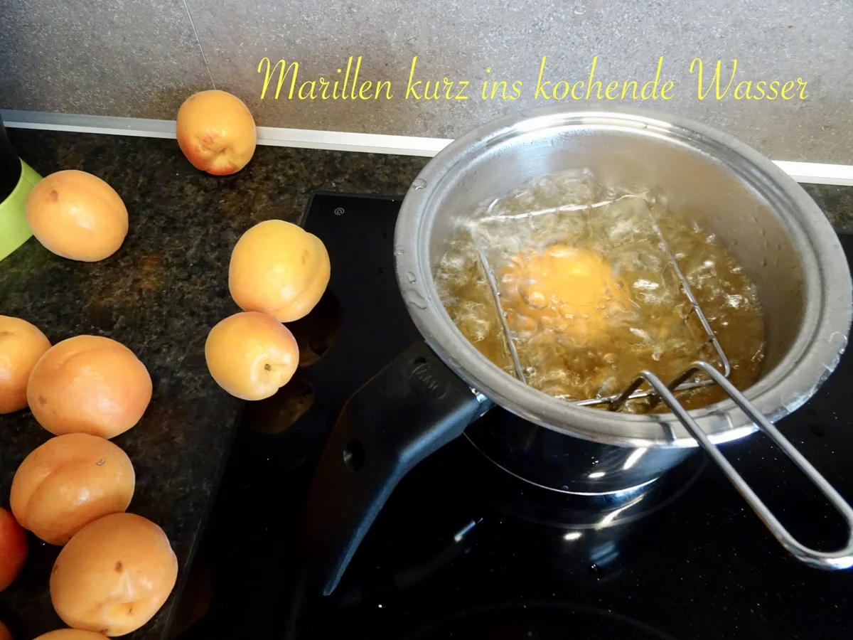 Wachauer Marillen Röster - Rezept - Bild Nr. 14362