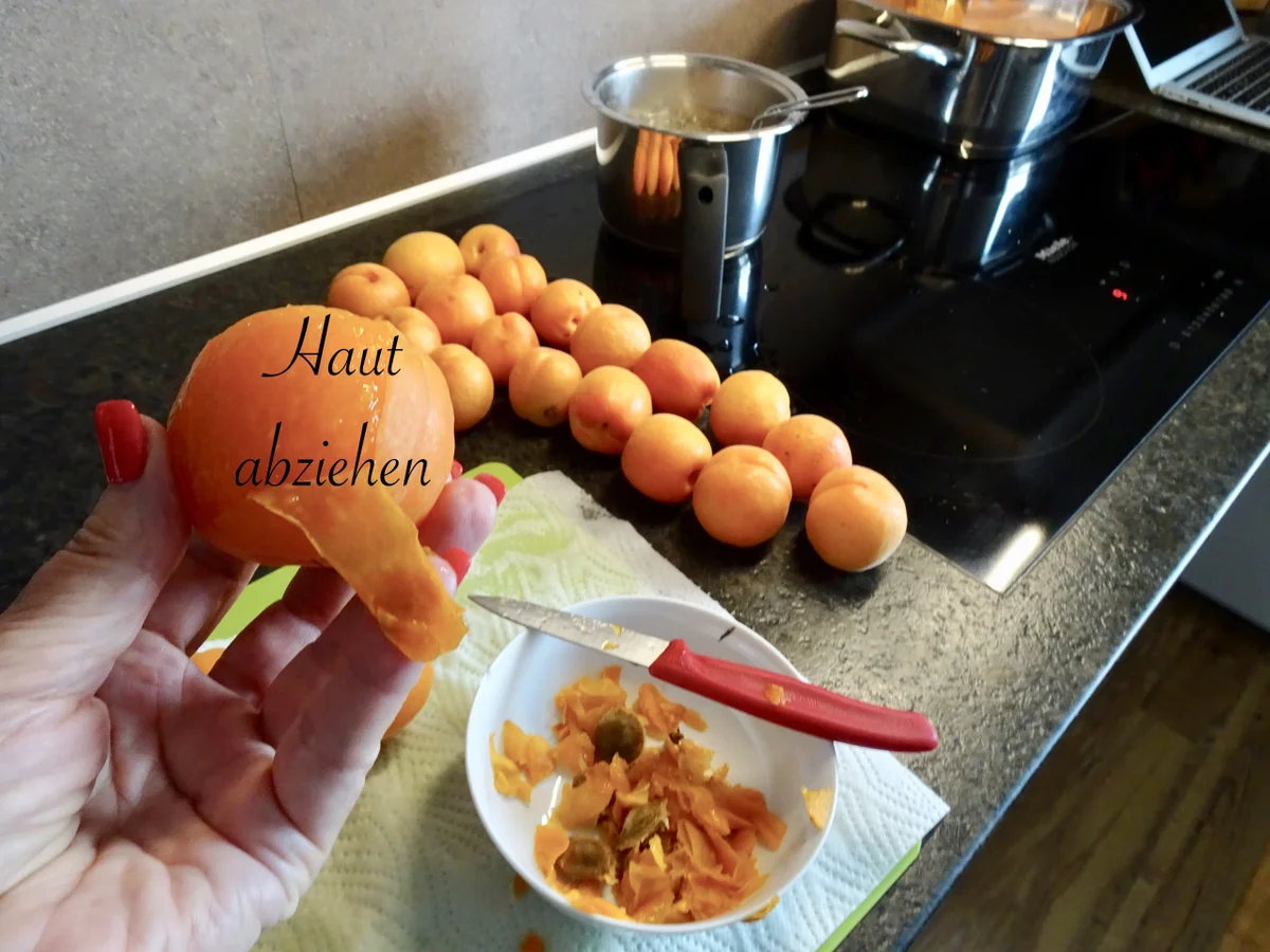 Wachauer Marillen Röster - Rezept - Bild Nr. 14363
