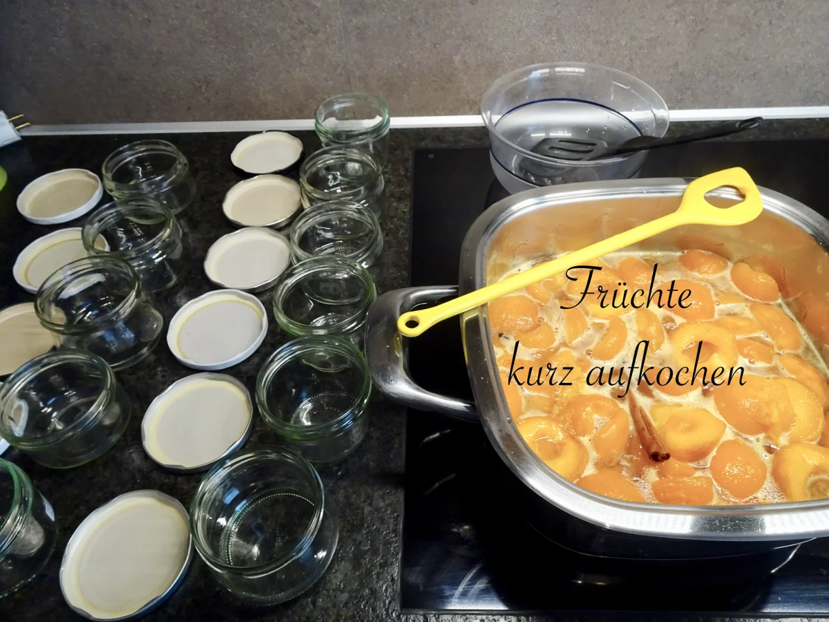 Wachauer Marillen Röster - Rezept - Bild Nr. 14365