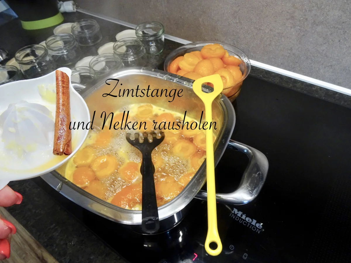 Wachauer Marillen Röster - Rezept - Bild Nr. 14367