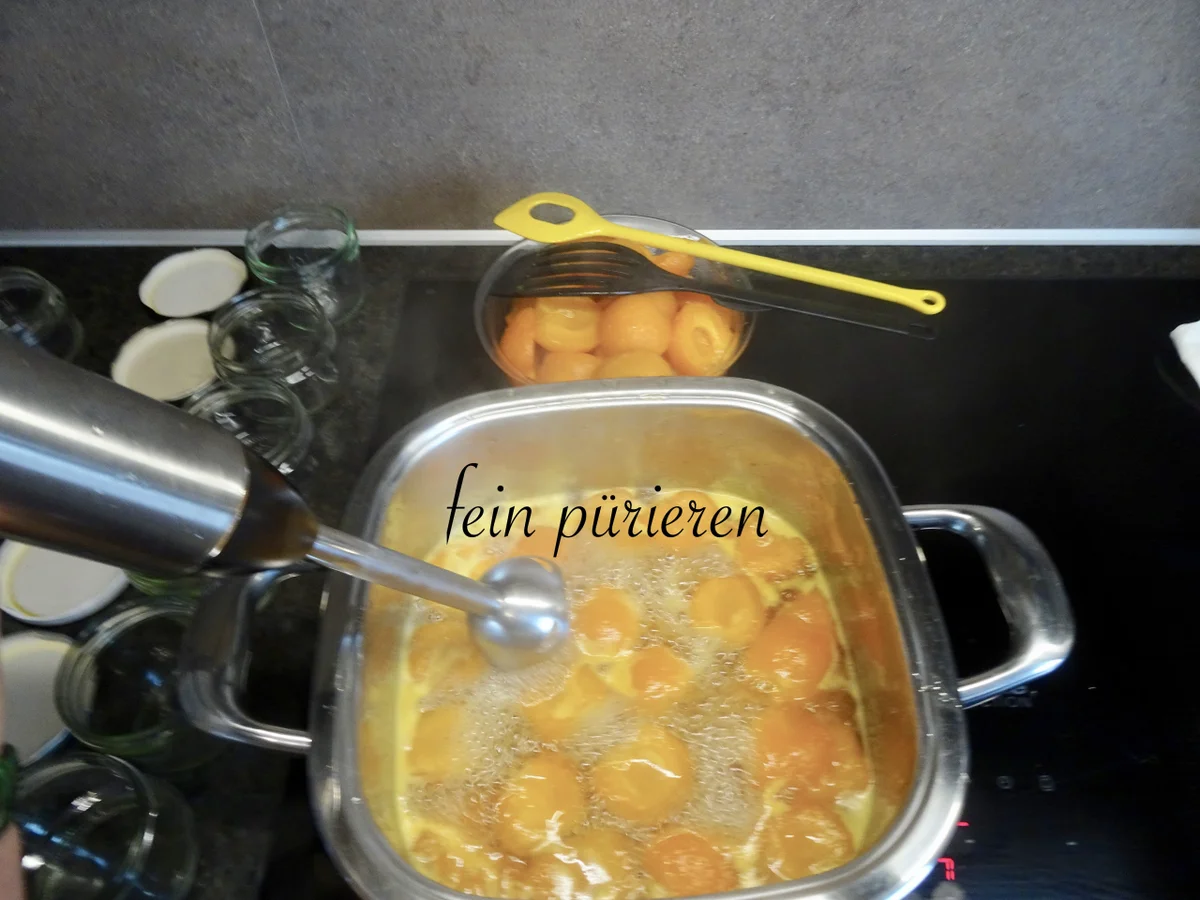 Wachauer Marillen Röster - Rezept - Bild Nr. 14368