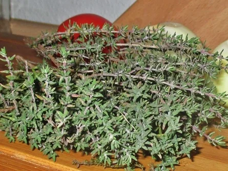 Hühnerkotelett aus Kiew mit Kartoffelspalten - kulinarische Weltreise - Rezept - Bild Nr. 14363