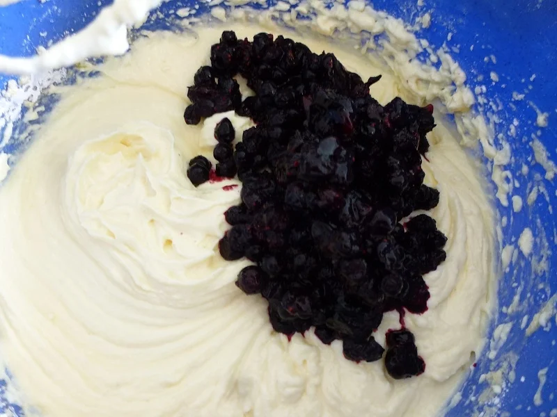 Heidelbeer-Quark-Streuselkuchen - Rezept - Bild Nr. 14370