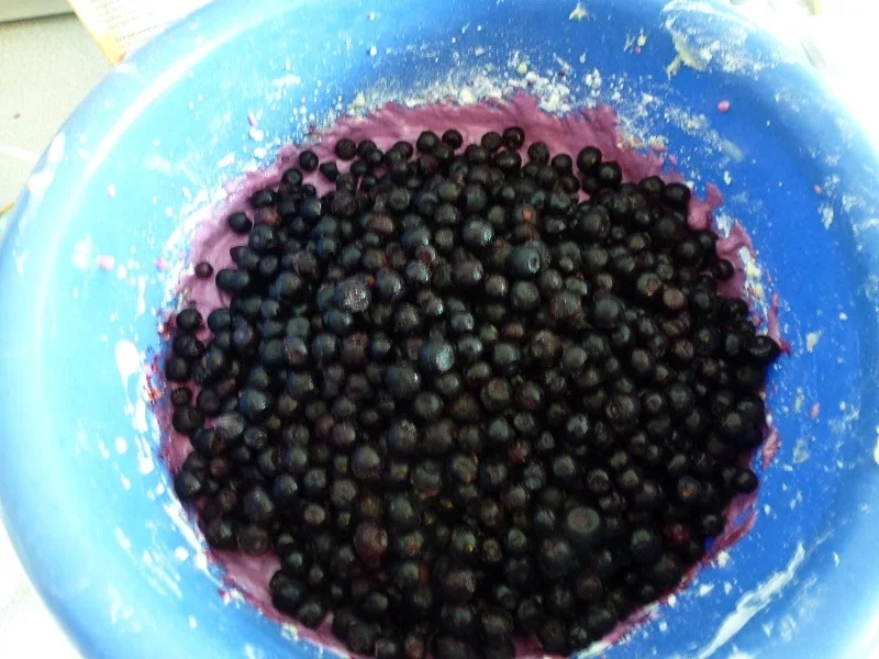 Heidelbeer-Quark-Streuselkuchen - Rezept - Bild Nr. 14372