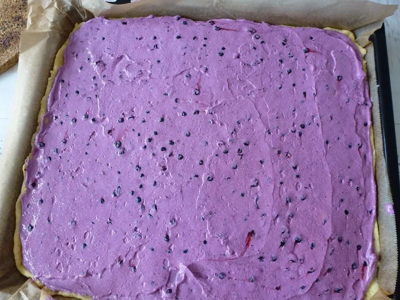 Heidelbeer-Quark-Streuselkuchen - Rezept - Bild Nr. 14375