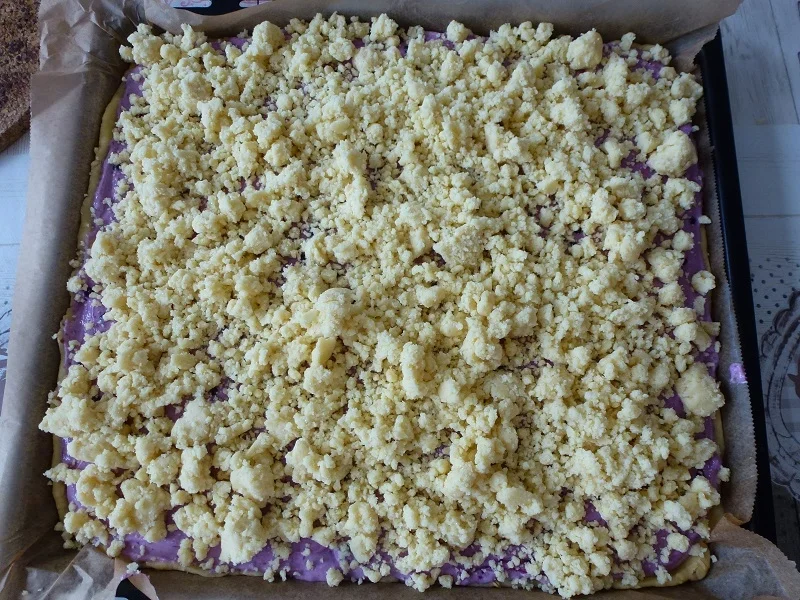 Heidelbeer-Quark-Streuselkuchen - Rezept - Bild Nr. 14376