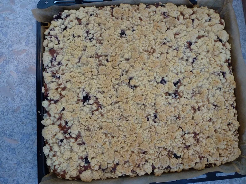 Heidelbeer-Quark-Streuselkuchen - Rezept - Bild Nr. 14377