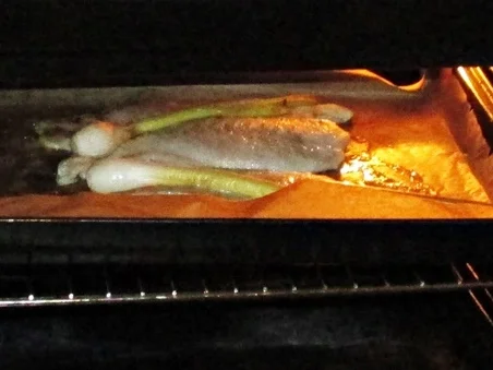 Rotbarschfilet mit Paprika-Tomatensoße - Rezept - Bild Nr. 14365