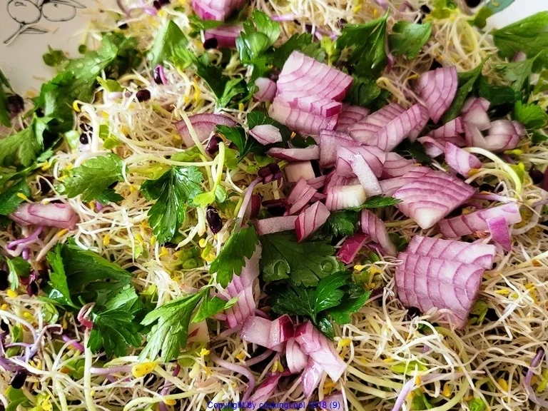 Rezept: Cevice mit Garnelen; Sprossensalat; Mie Nudelkräcker zur kochbar Challenge Juli 2021 Bild Nr. 14372 Cevice mit Garnelen; Sprossensalat; Mie Nudelkräcker zur kochbar Challenge Juli 2021 - Rezept - Bild Nr. 14372