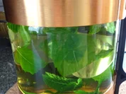 Getränke: Minztee - Rezept - Bild Nr. 14364