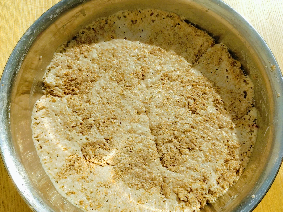 Rezept: Wild-spontanes Apfel-Süsskartoffel-Ingwer Brot Bild Nr. 4 Wild-spontanes Apfel-Süsskartoffel-Ingwer Brot - Rezept - Bild Nr. 4