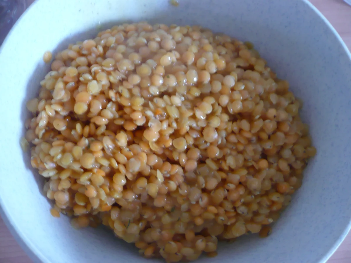 Forellenfilet mit Linsensalat - Rezept - Bild Nr. 14384