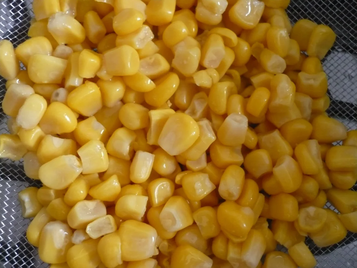 Forellenfilet mit Linsensalat - Rezept - Bild Nr. 14389