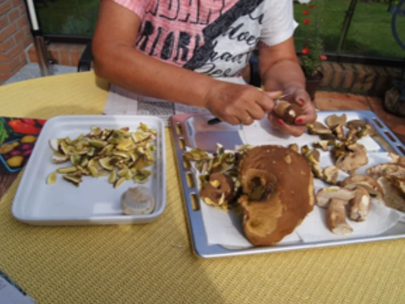 Waldpilzpfanne und geröstetes Bauernbrot mit Wachtel-Spiegeleiern - Rezept - Bild Nr. 14405