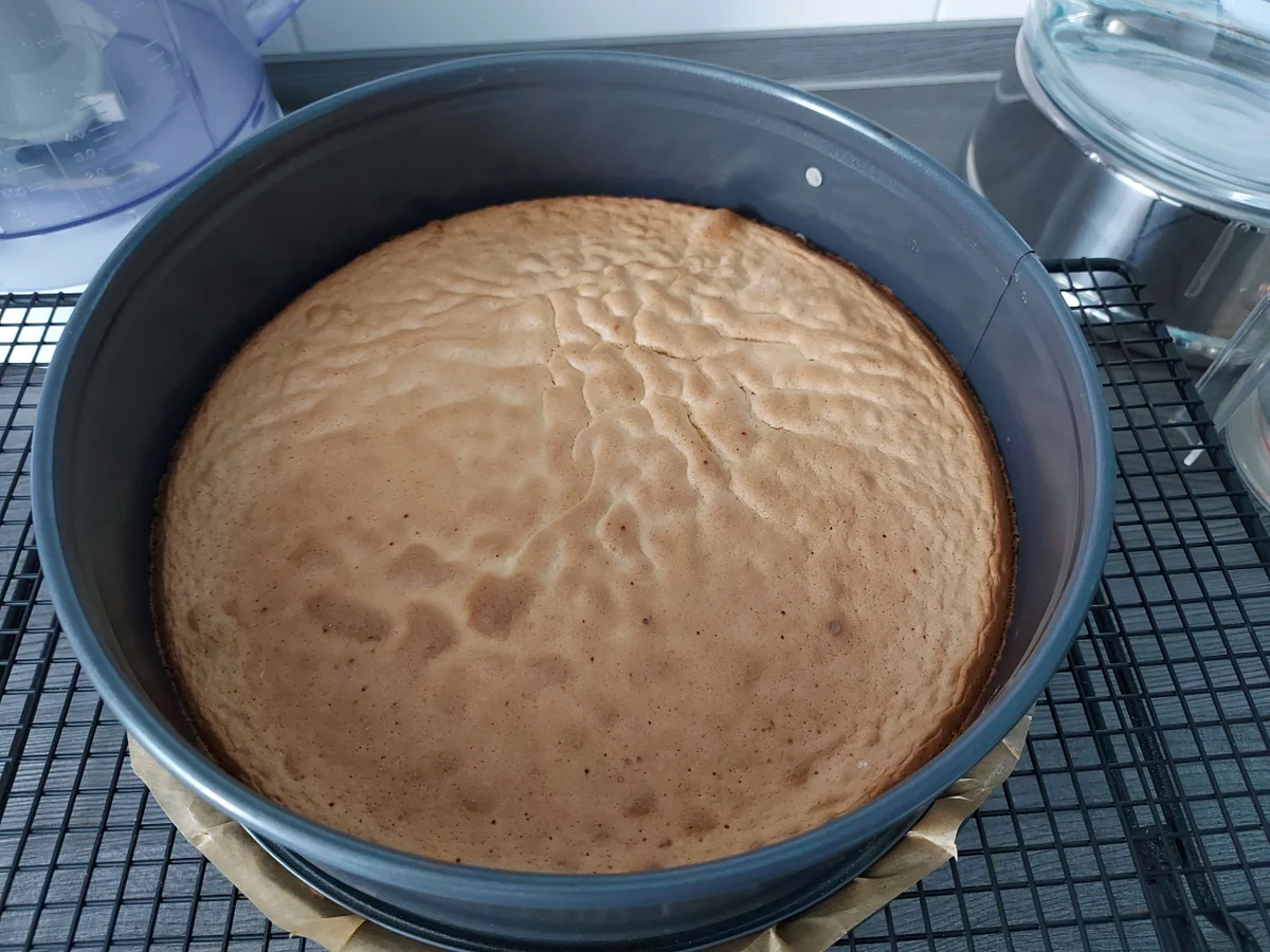 Rezept: Mein(e) Erdbeerkuchen / Erdbeertorte Bild Nr. 14393 Mein(e) Erdbeerkuchen / Erdbeertorte - Rezept - Bild Nr. 14393