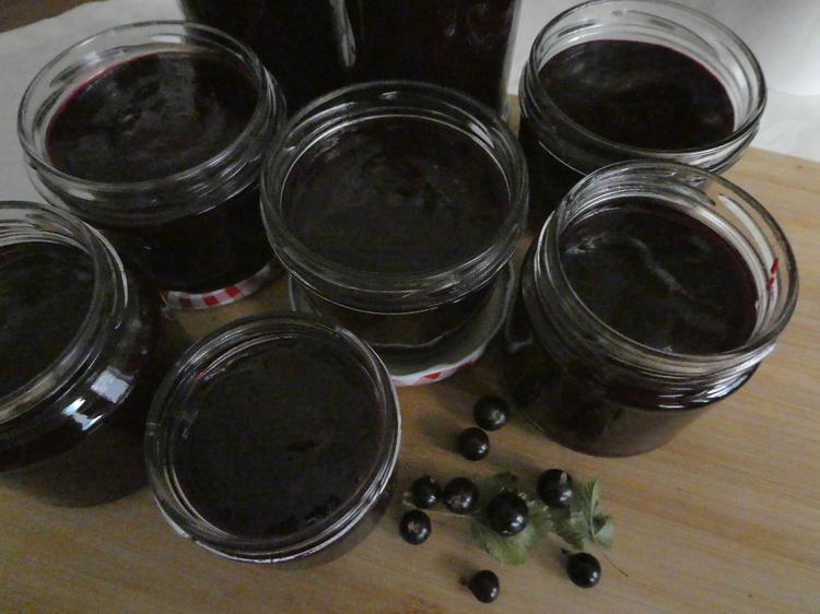 Schwarze Johannisbeer-Marmelade - Rezept - kochbar.de