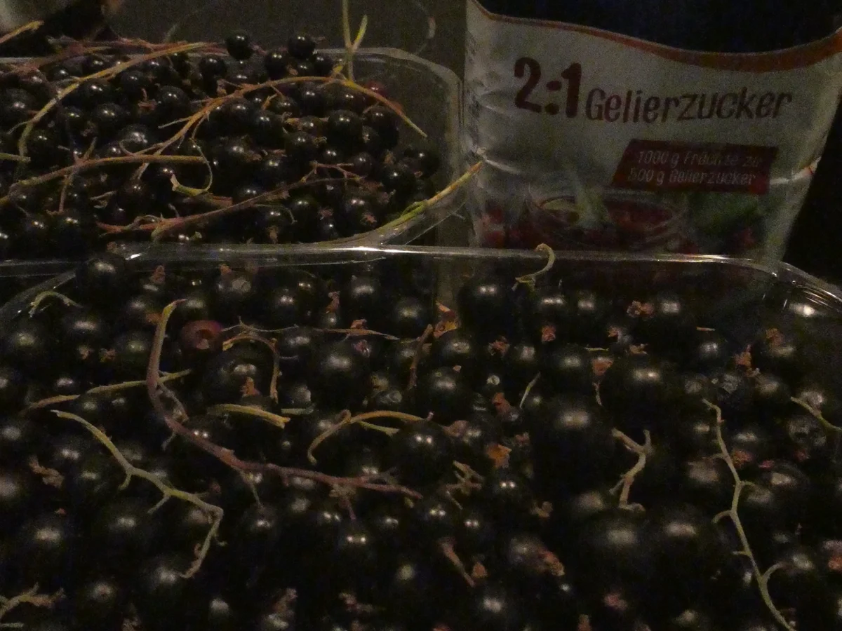 Schwarze Johannisbeer-Marmelade - Rezept - Bild Nr. 14395