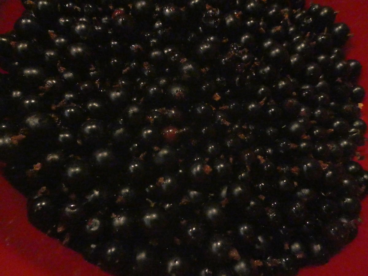 Schwarze Johannisbeer Marmelade - einfach - von Sheeva1960