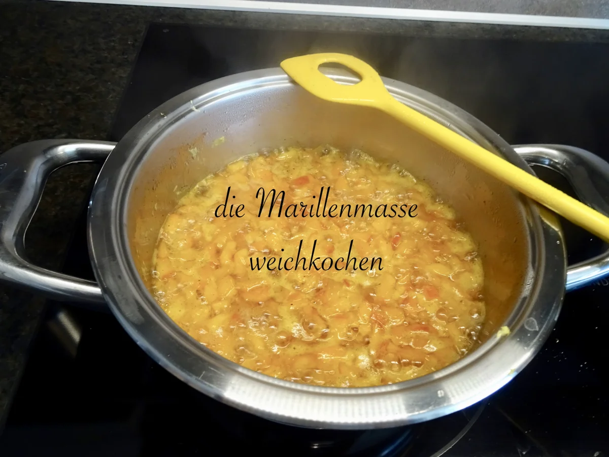 fruchtiger Marillensenf - 2. Version - Rezept - Bild Nr. 14411