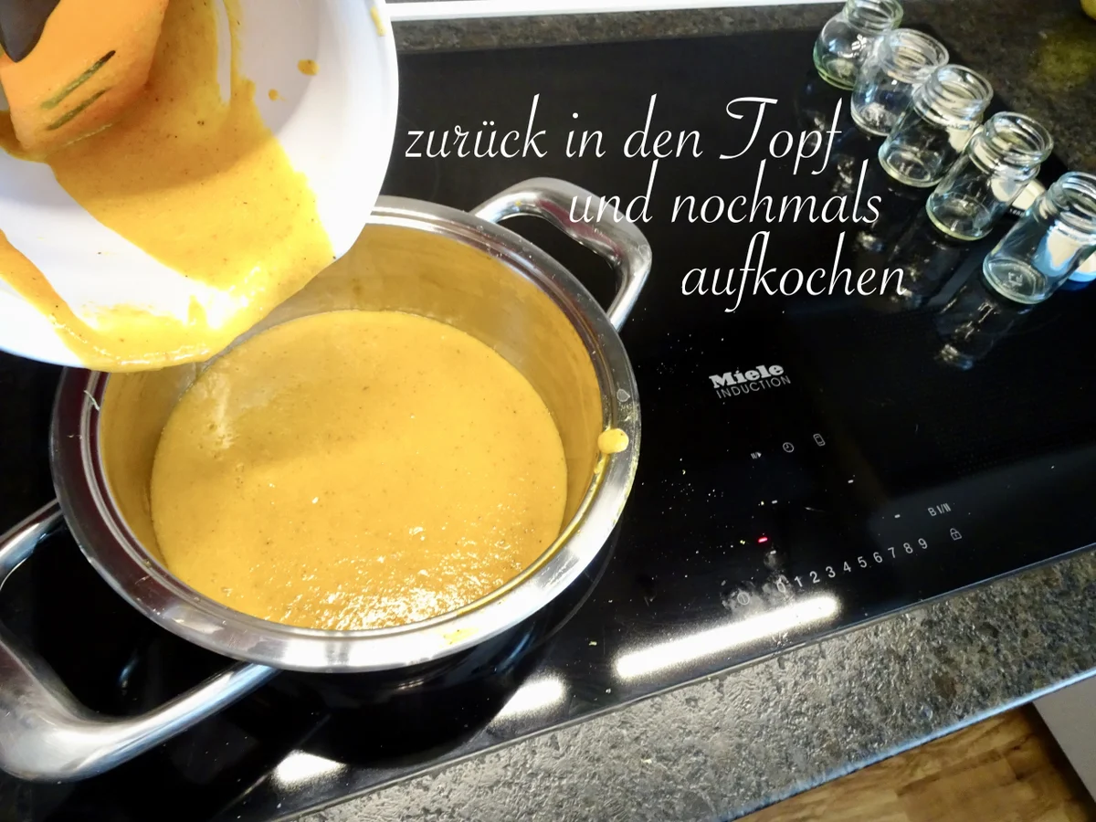 fruchtiger Marillensenf - 2. Version - Rezept - Bild Nr. 14413