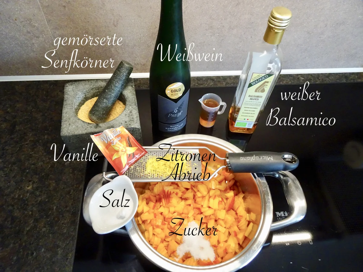 fruchtiger Marillensenf - 2. Version - Rezept - Bild Nr. 14418