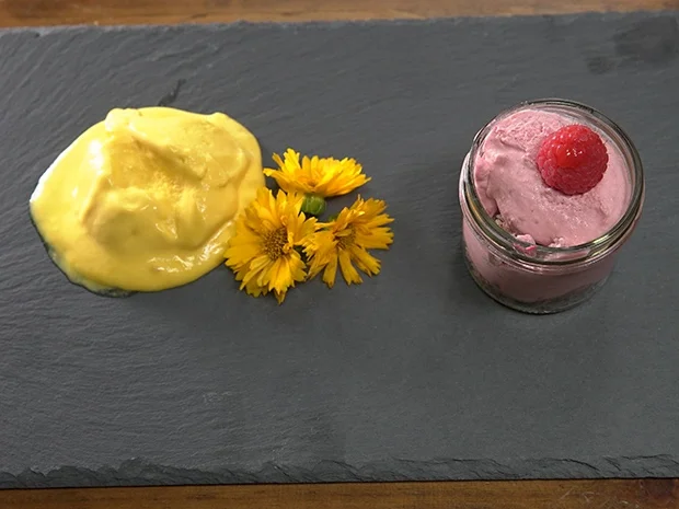 Rezept: Selbstgemachtes Mango-Eis mit einem Himbeertraum Bild Nr. 14418 Selbstgemachtes Mango-Eis mit einem Himbeertraum - Rezept - Bild Nr. 14418