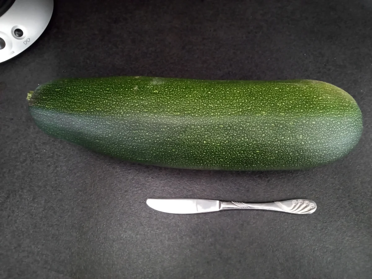 Spätsommerliche Zucchini-Rolle zur kochbar Challenge August 2021 - Rezept - Bild Nr. 14439