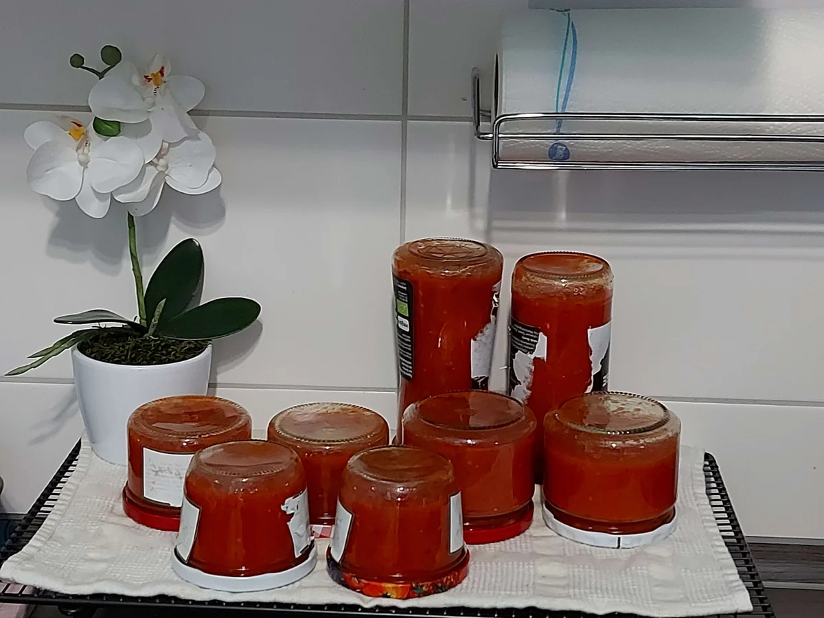 Rezept: Tomaten - Paprika - Möhrensoße Bild Nr. 14456 Tomaten - Paprika - Möhrensoße - Rezept - Bild Nr. 14456