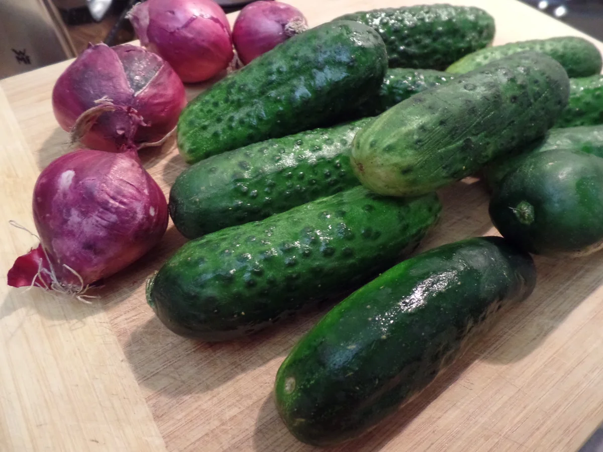 Sauer eingelegte Gurken - Rezept - Bild Nr. 14461