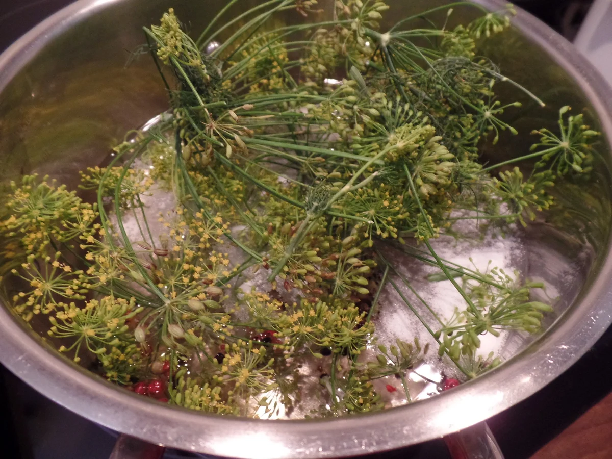 Sauer eingelegte Gurken - Rezept - Bild Nr. 14464