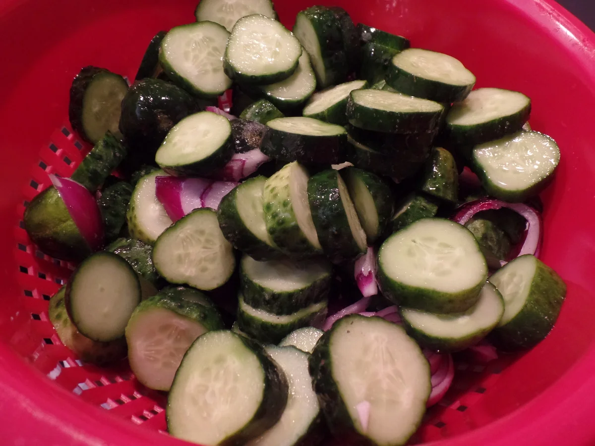 Sauer eingelegte Gurken - Rezept - Bild Nr. 14465