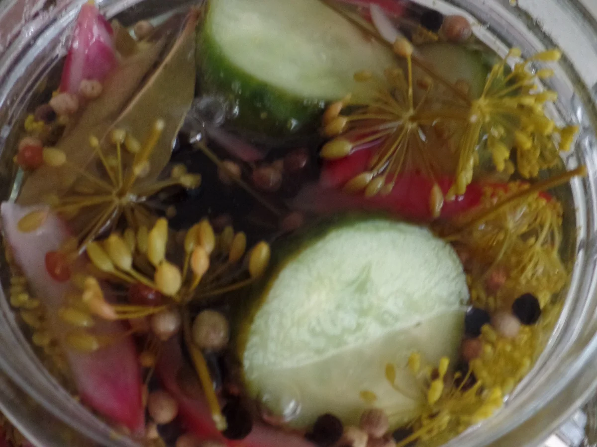 Sauer eingelegte Gurken - Rezept - Bild Nr. 14467