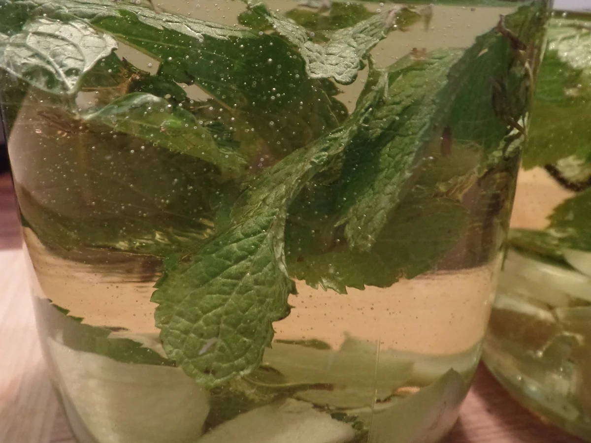 Kräuter-Frischkäse-Bällchen in Knoblauchöl - Rezept - Bild Nr. 14462