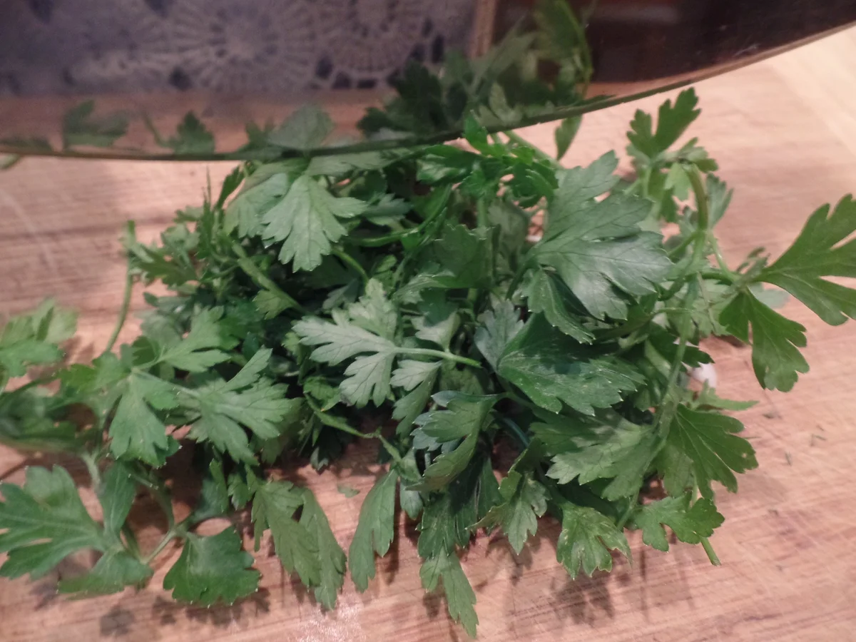 Kräuter-Frischkäse-Bällchen in Knoblauchöl - Rezept - Bild Nr. 14464