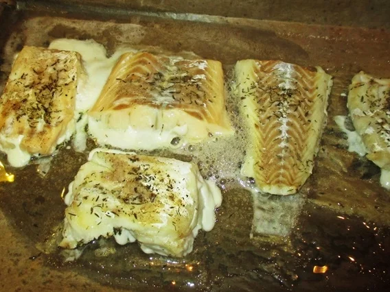 Rezept: Kabeljau mit gebratenem Porree Bild Nr. 3 Kabeljau mit gebratenem Porree - Rezept - Bild Nr. 3