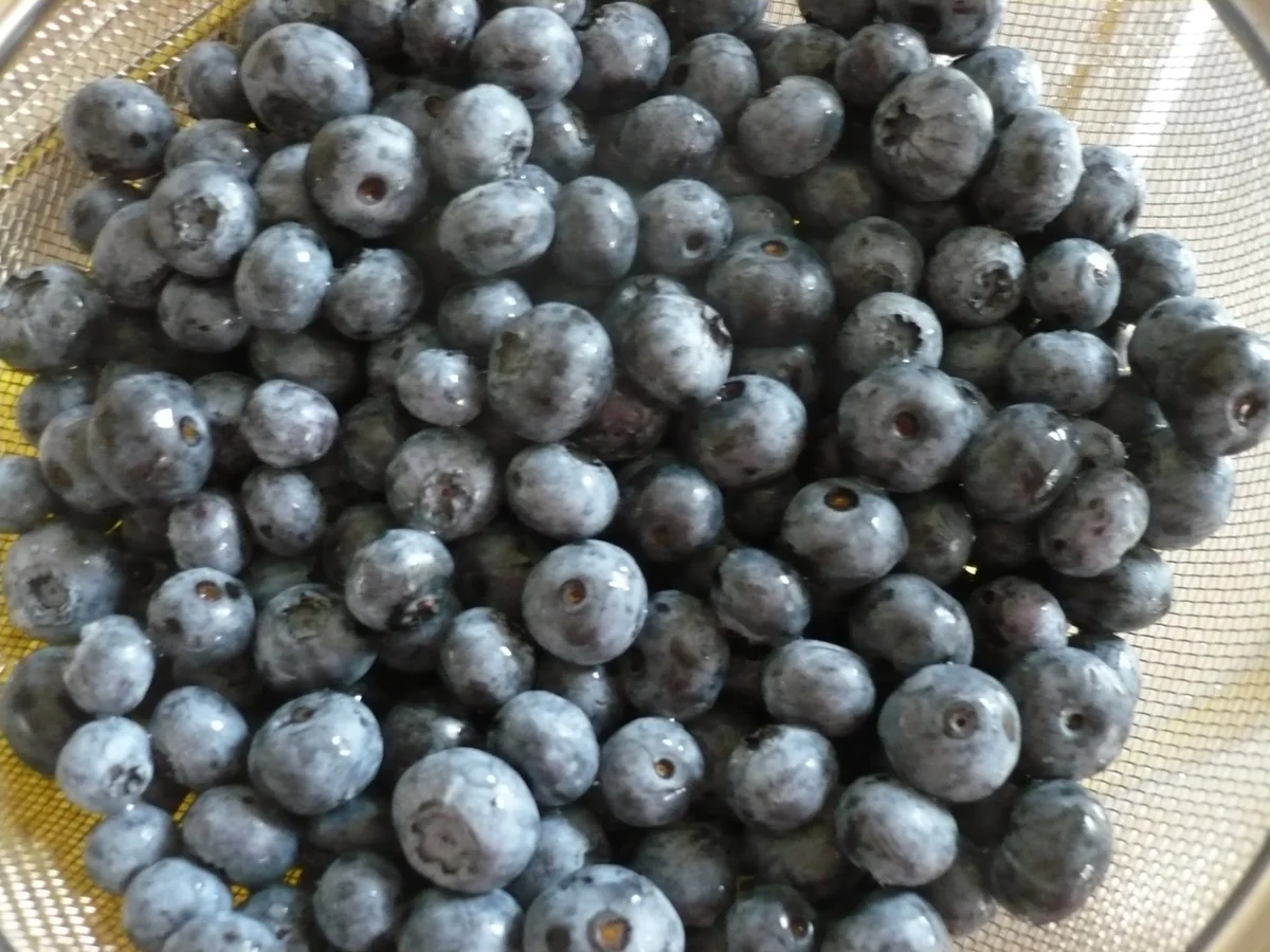 Rezept: Blaubeer - Streuselkuchen mit Quark Bild Nr. 14492 Blaubeer - Streuselkuchen mit Quark - Rezept - Bild Nr. 14492