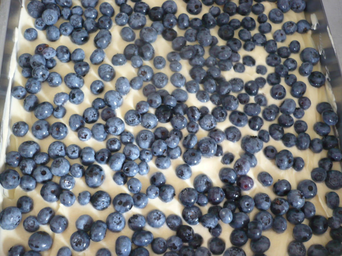 Blaubeer - Streuselkuchen mit Quark - Rezept - Bild Nr. 14495