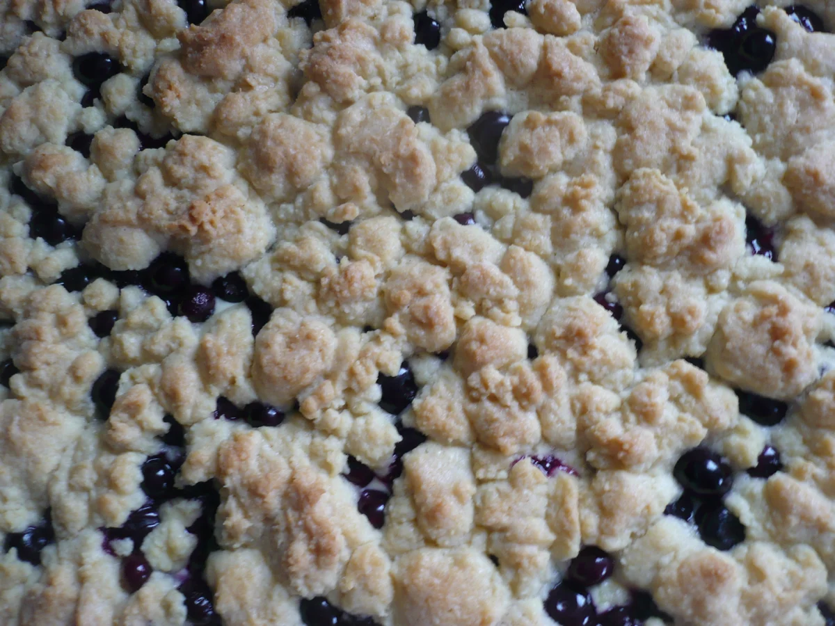 Rezept: Blaubeer - Streuselkuchen mit Quark Bild Nr. 14497 Blaubeer - Streuselkuchen mit Quark - Rezept - Bild Nr. 14497