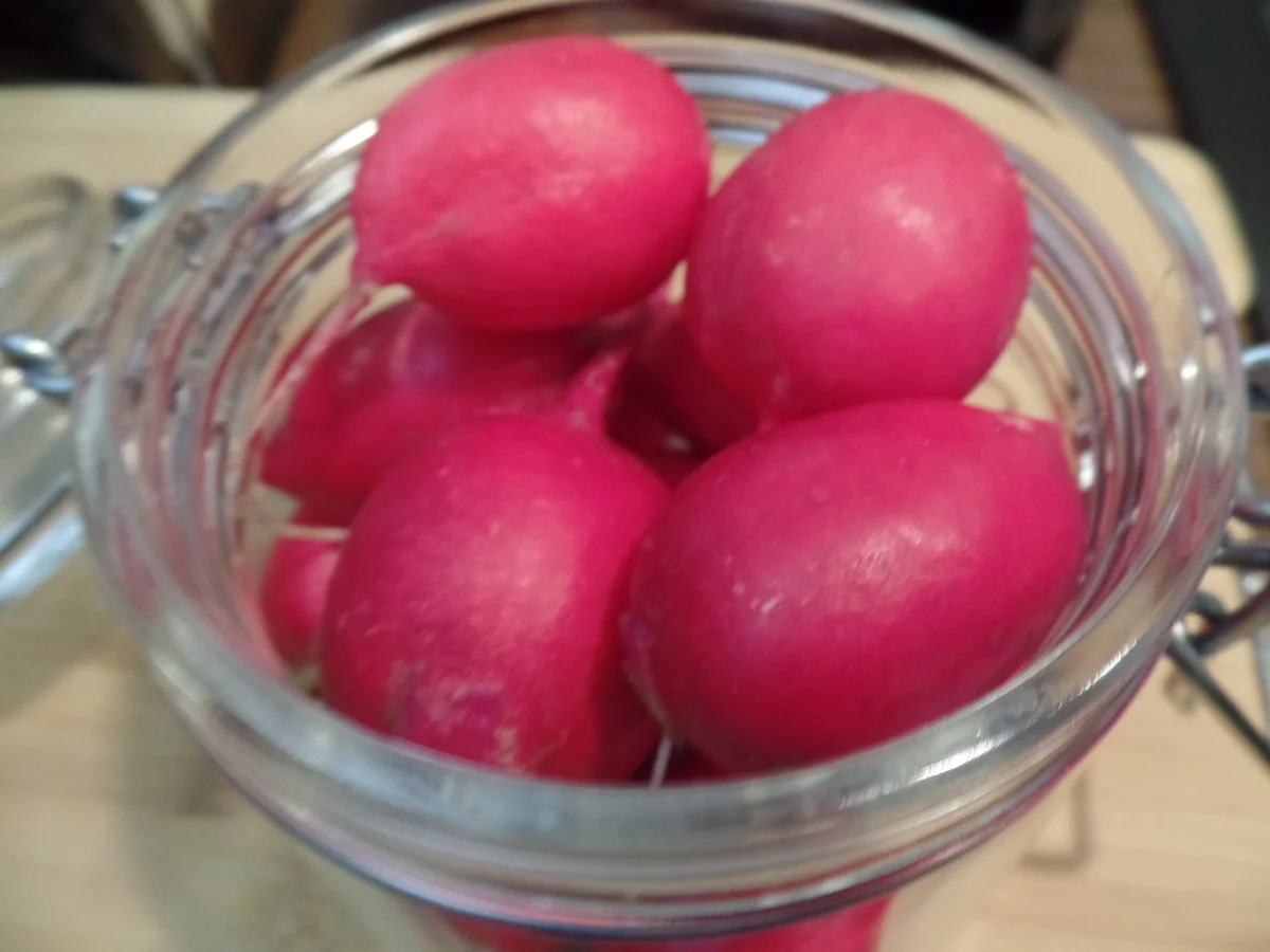 Eingelegte Radieschen - Rezept - Bild Nr. 14491