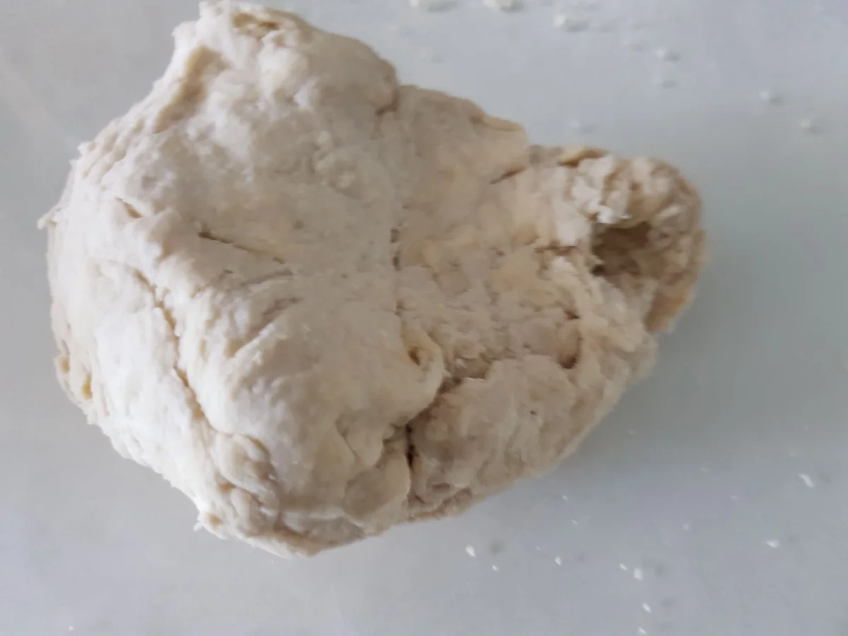 Forelle im Pizza-Teigmantel - Rezept - Bild Nr. 14502