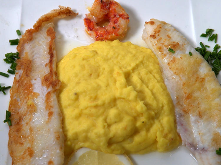 Seezungenfilets und Carabiniero an Safranpüree und Gurkensalat - von ...