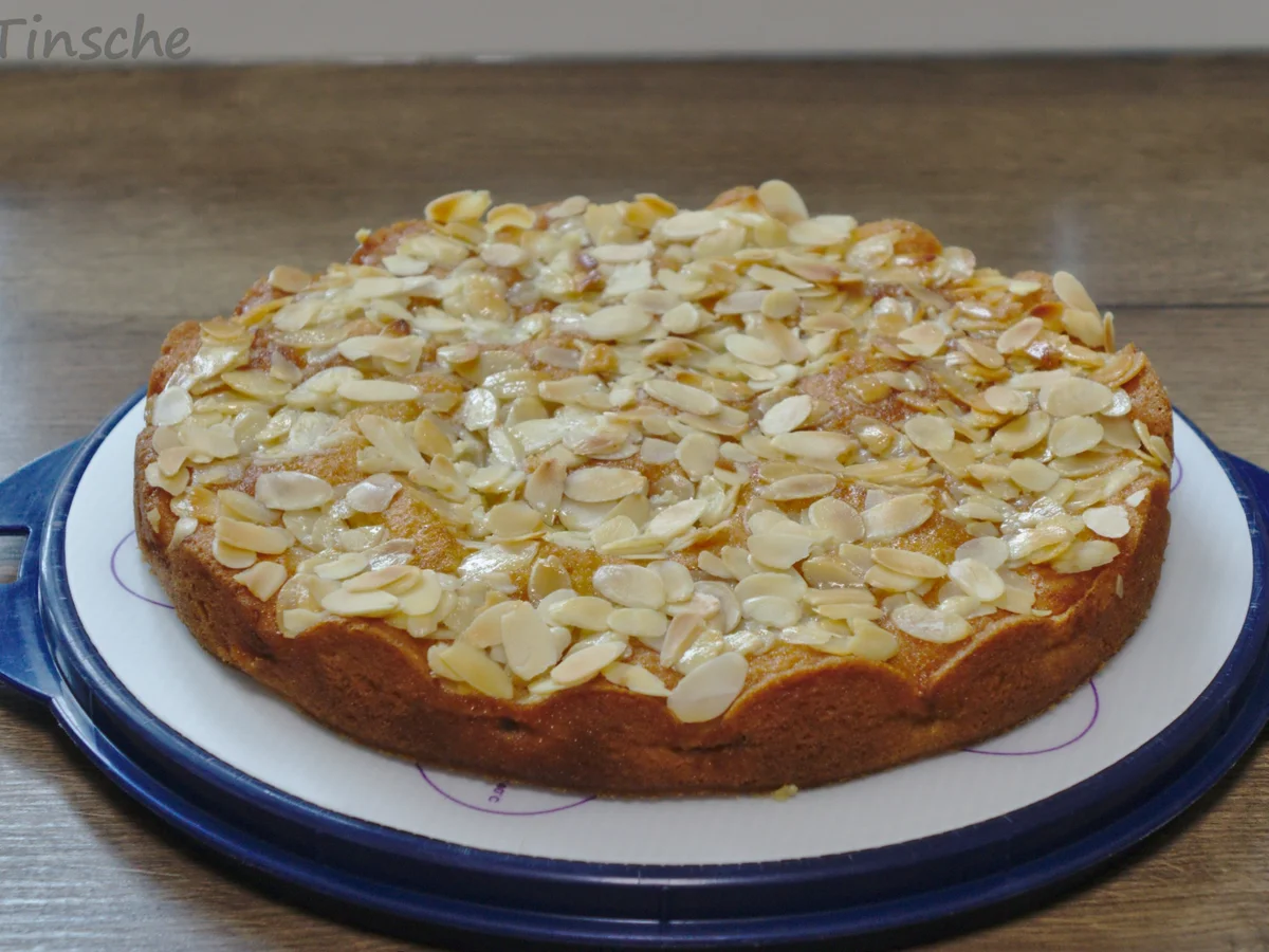 Aprikosenkuchen - Rezept - Bild Nr. 14570