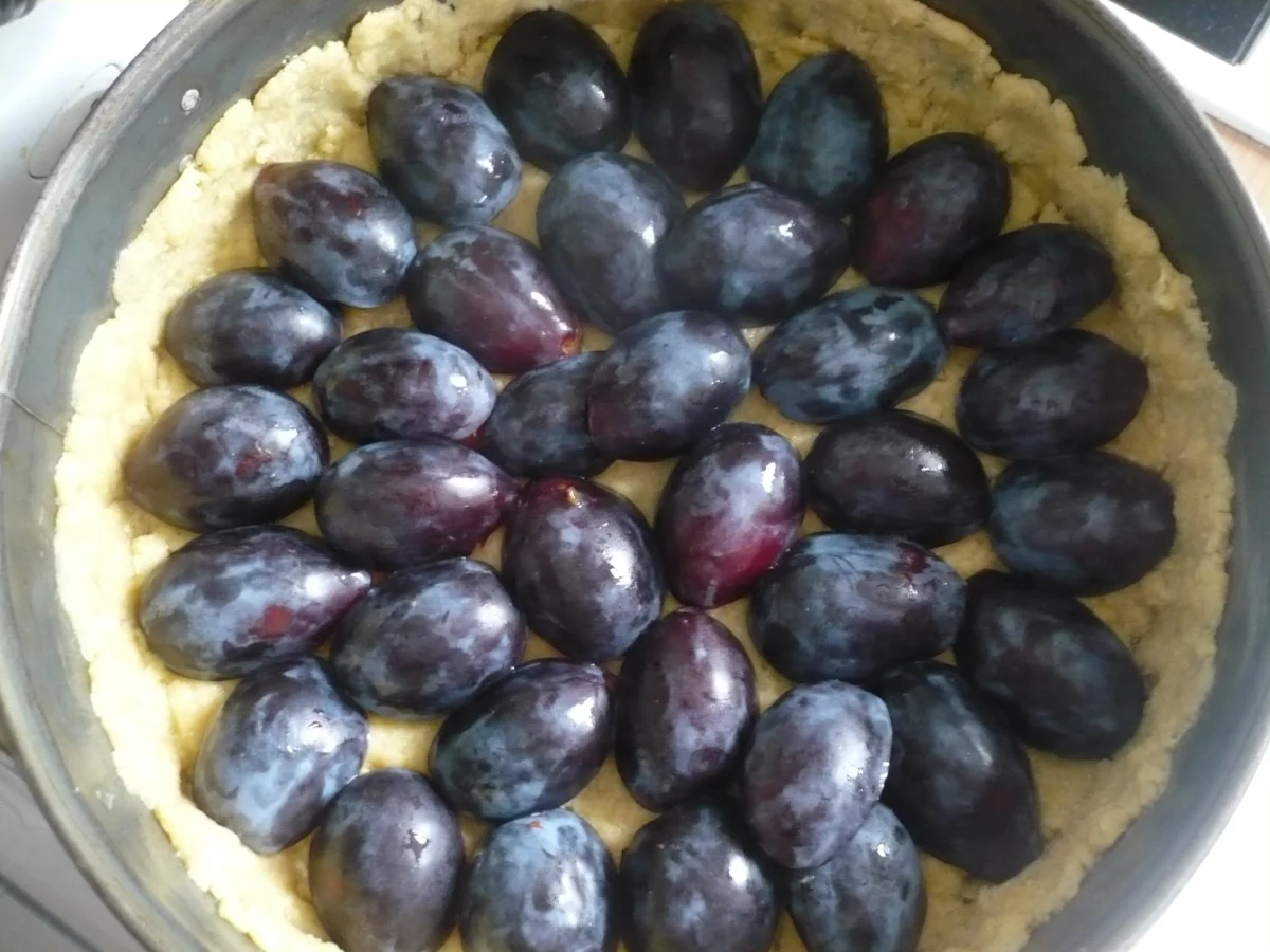 Rezept: Zwetschenkuchen mit Streusel Bild Nr. 14515 Zwetschenkuchen mit Streusel - Rezept - Bild Nr. 14515