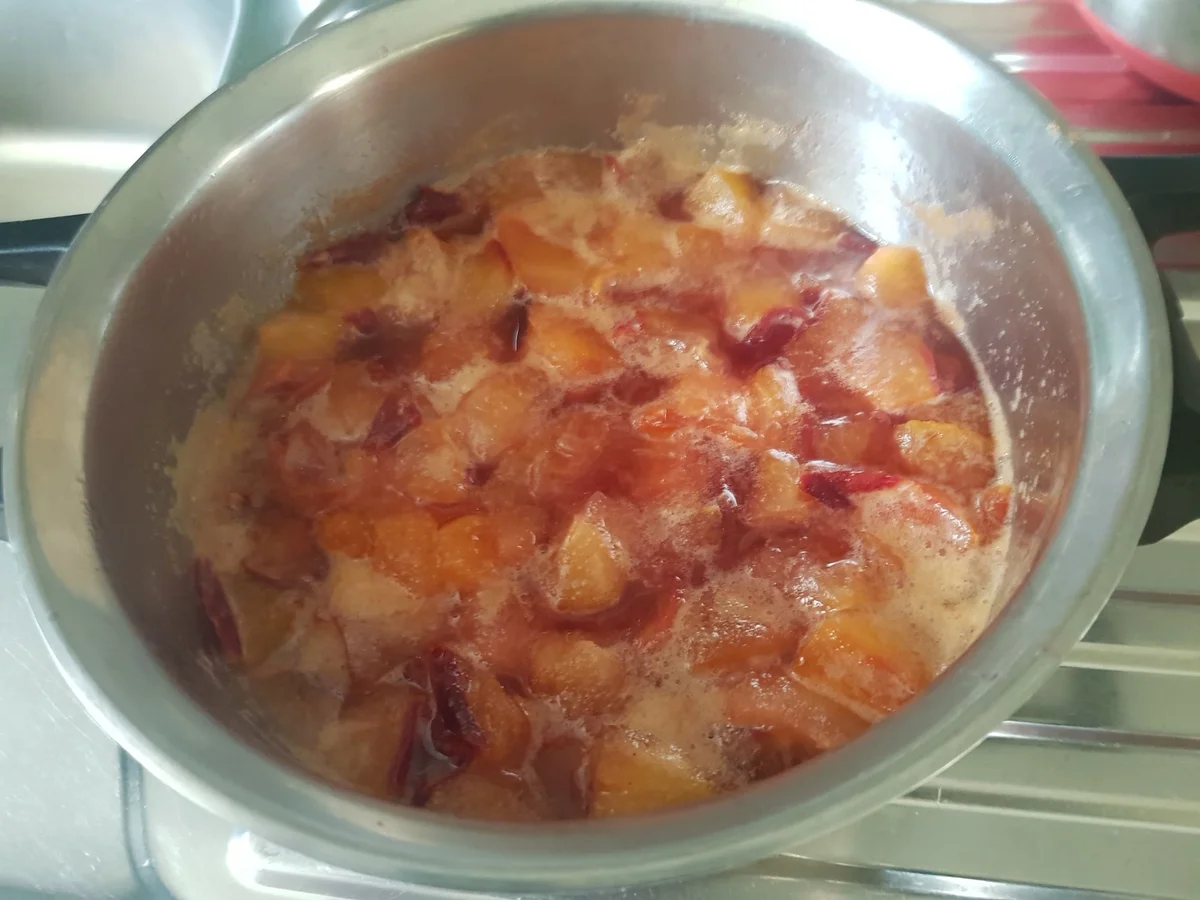 Quark-Mousse mit bunten Splittern und Nektarinen-Creme - Rezept - Bild Nr. 14517