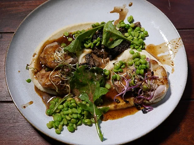 Wachtel / Sellerie / Morchel / Erbse - Rezept - Bild Nr. 2