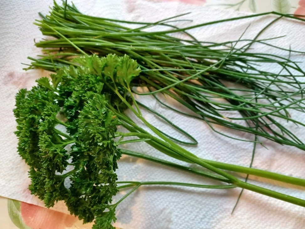 Rezept: Nudel - Hackfleischtopf mit Weißkohl Bild Nr. 14547 Nudel - Hackfleischtopf mit Weißkohl - Rezept - Bild Nr. 14547