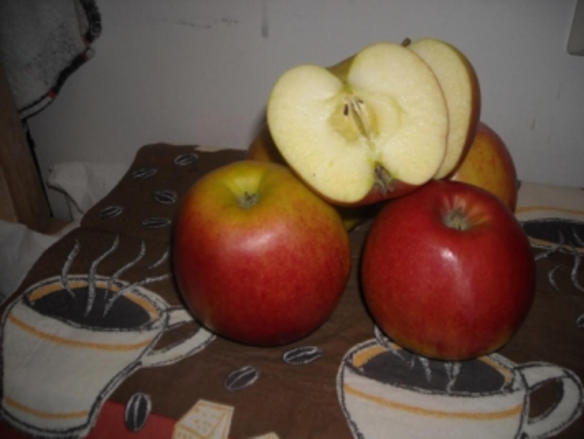 Apfelmohnkuchen - Rezept